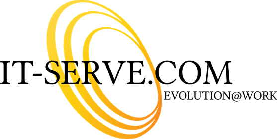 Winner small image - IT-Serve